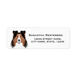 étiquettes d'adresse de retour de shetland terrier
