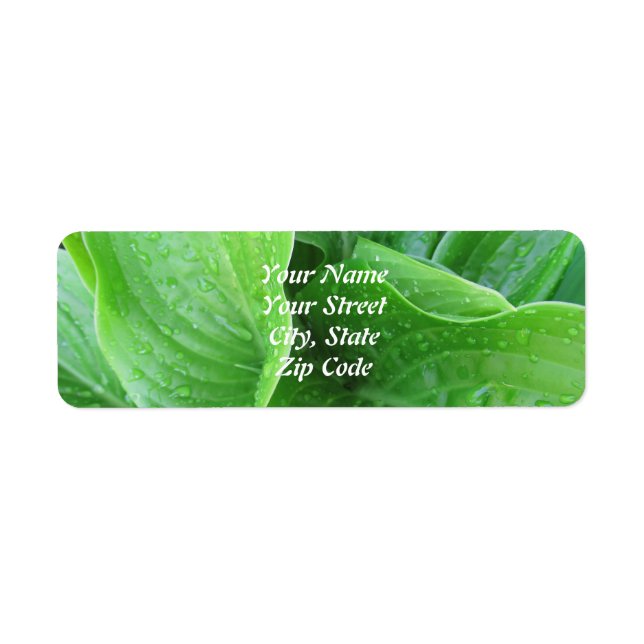 Étiquettes d'adresse de retour des Feuilles Hosta (Devant)