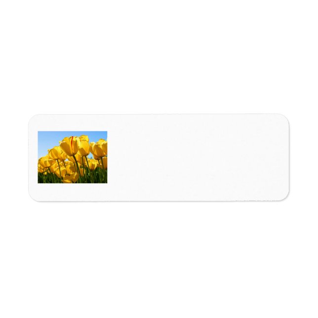 Étiquettes d'adresse de retour des tulipes jaunes (Devant)