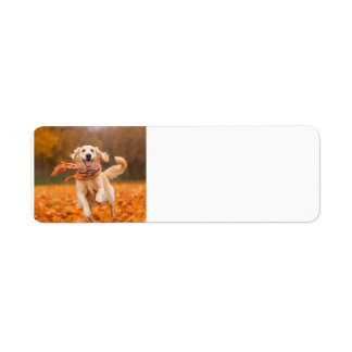 Étiquettes d'adresse de retour Golden Retriever