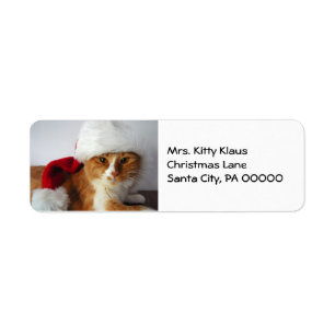Étiquettes d'adresse de retour Kitty Noël au chape
