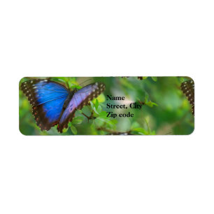 Étiquettes d'adresse de retour papillon bleu