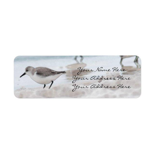 Étiquettes d'adresse de retour Sandpiper (Devant)