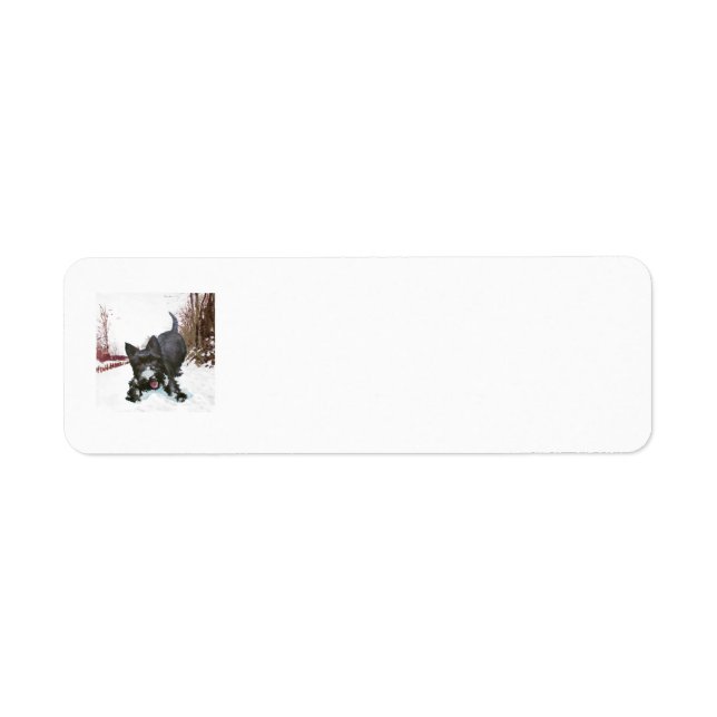 Étiquettes d'adresse de retour SCOTTIE (Devant)