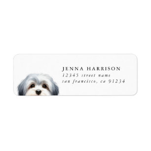 Étiquettes d'adresse de retour Shih Tzu