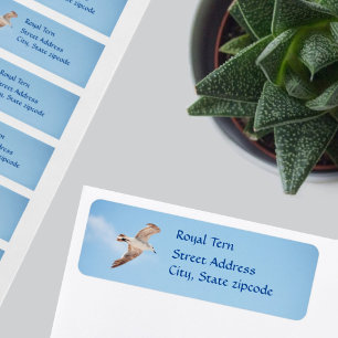 Étiquettes d'adresse d'oiseau mouette en vol