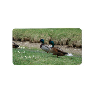 Étiquettes de adresse 2 canards