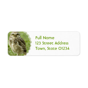 Étiquettes de adresse Alert Owl