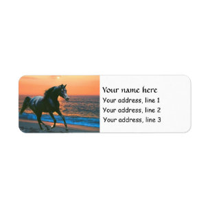 Étiquettes de adresse Arabes d'étalon de cheval