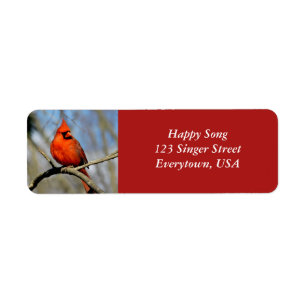 Étiquettes de adresse cardinaux lumineux (texte