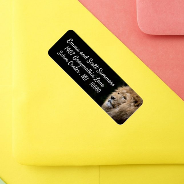 Étiquettes de adresse d'animaux de lions d'Afrique (Créateur téléchargé)