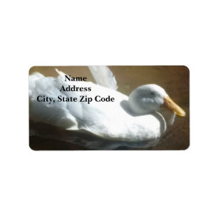 Étiquettes de adresse de canard