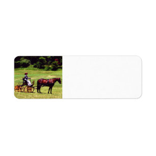 Étiquettes de adresse de chevaux et de voitures