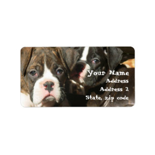 Étiquettes de adresse de chiots de boxe