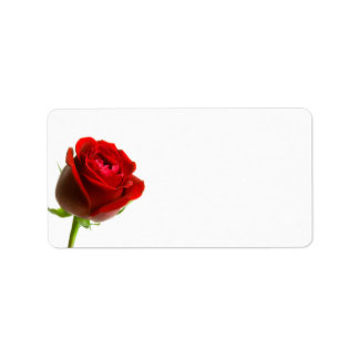 Étiquettes de adresse de la Rose rouge