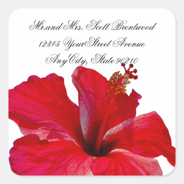 Étiquettes de adresse de l'Hibiscus rouge tropical (Devant)