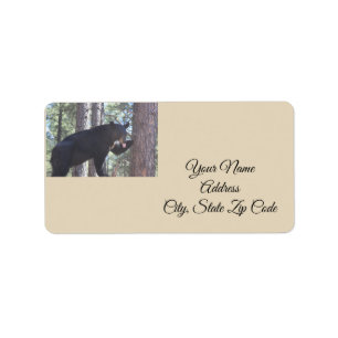 Étiquettes de adresse de l'ours noir