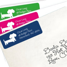 Étiquettes de adresse de messagerie colorés Dachsh