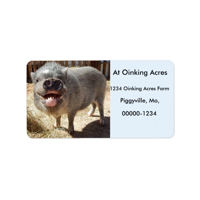 Étiquettes de adresse de mini-cochon souriants et  (Devant)