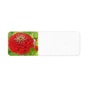 Étiquettes de adresse de Red Zinnia