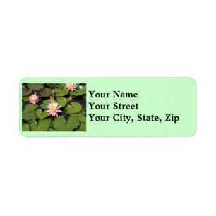 Étiquettes de adresse de retour de fleurs de