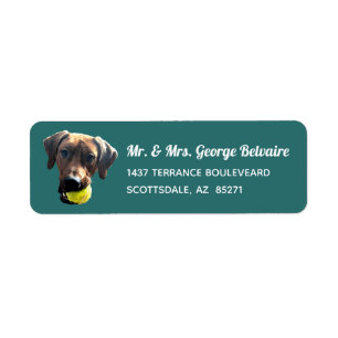 Étiquettes de adresse de Rhodesian Ridgeback