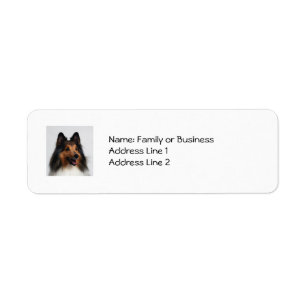 Étiquettes de adresse de Sheltie