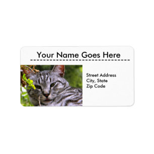 Étiquettes de adresse de tête de chat Tabby Argent