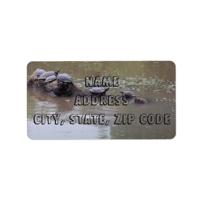 Étiquettes de adresse de tortues (Devant)