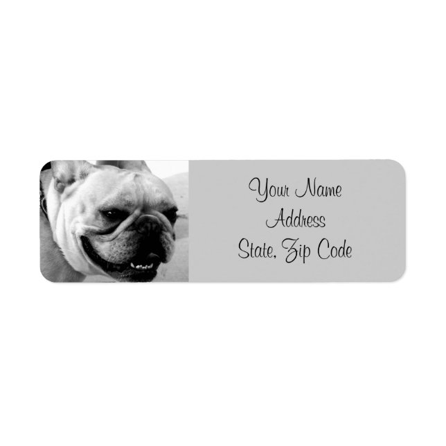 Étiquettes de adresse français de Bulldog (Devant)