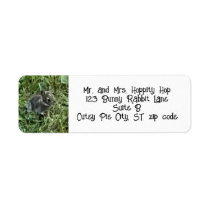 Étiquettes de adresse lapin lapin bébé