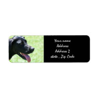 Étiquettes de adresse noirs