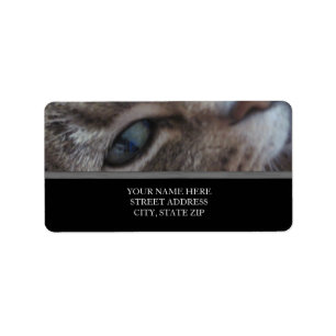 Étiquettes de adresse oculaires de chat