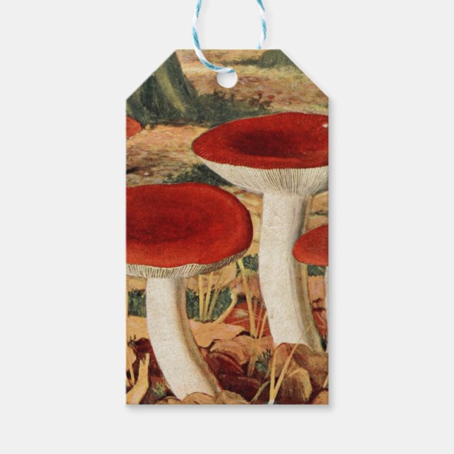 Étiquettes de Cadeau pour Album de Champignons Rét (Devant)