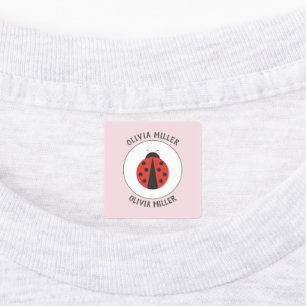 Étiquettes de coccinelle en fer pour la garderie d