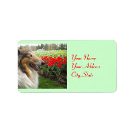 Étiquettes de Collie N Tulips