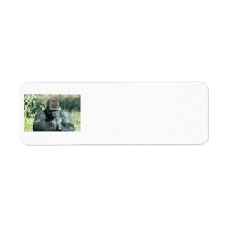 Étiquettes de Gorilla