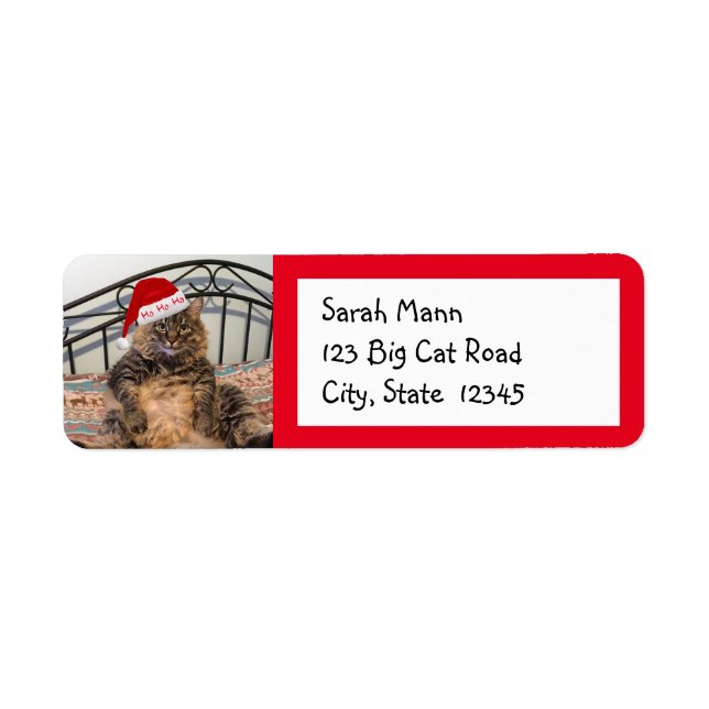 Étiquettes de l'adresse de retour père Noël Cat (Devant)