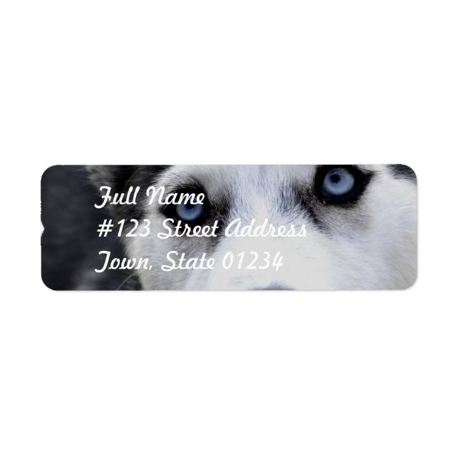 Étiquettes de messagerie Blue Eyed Husky (Devant)