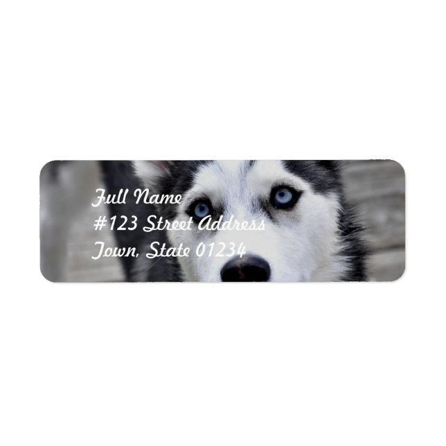 Étiquettes de messagerie Husky Puppy (Devant)