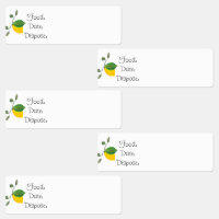 Étiquettes de nourriture au citron vert pour l'org