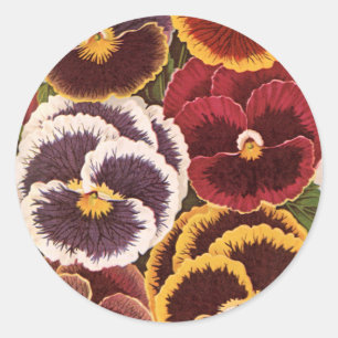 Étiquettes de paquets de graines vintage, fleurs d