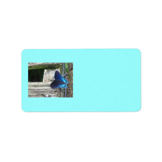 Étiquettes de repos papillon bleu