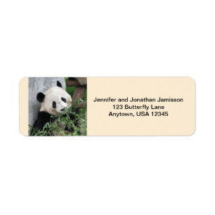 Étiquettes De Retour De Pandas Géantes, Tan