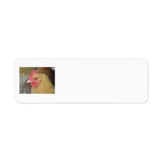 Étiquettes de retour de poulet