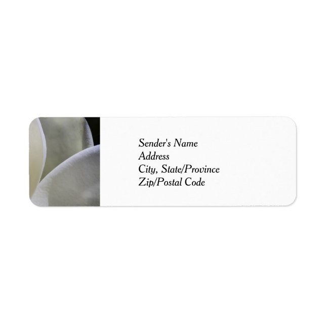Étiquettes de retour du Mariage Magnolia blanc (Devant)