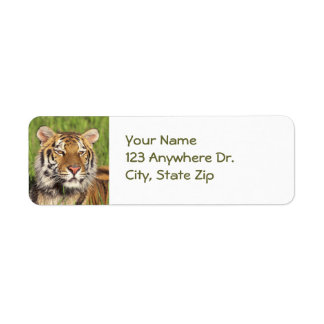 Étiquettes de retour Tiger