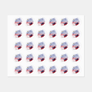 Étiquettes drapeau du Liechtenstein