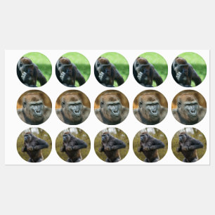 Étiquettes Gorilla Lope (Conception Ronde)