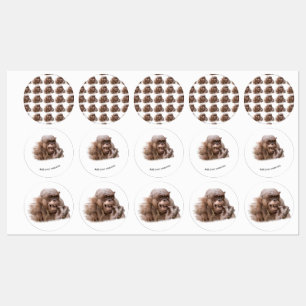 Étiquettes Jambo The Hairless Chimp (modifier votre propre te